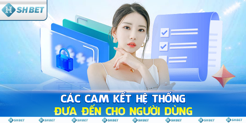 Các cam kết hệ thống đưa đến cho người dùng